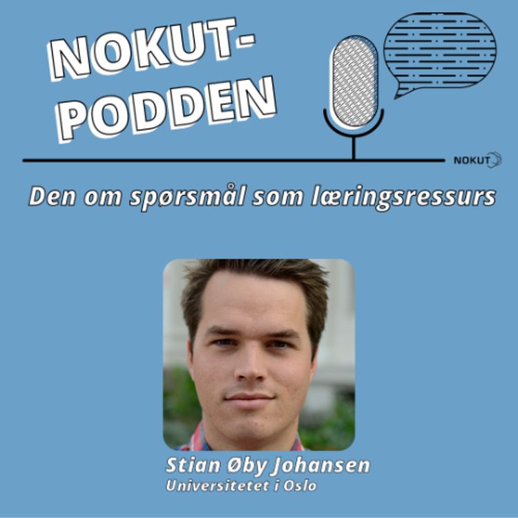 cover art for Den om spørsmål som læringsressurs