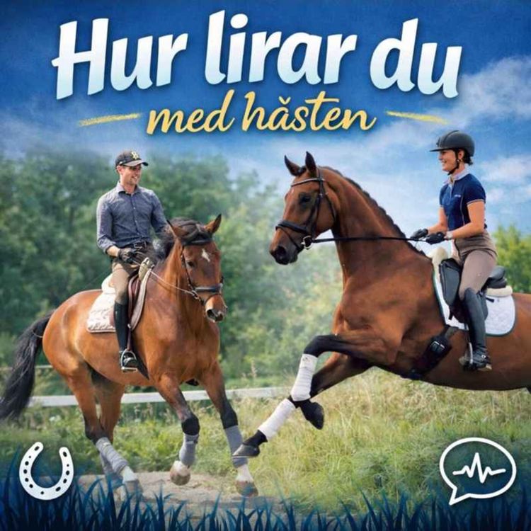 cover art for Ryttarens egen träning och hälsa