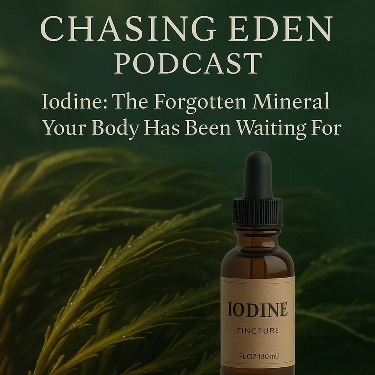 cover art for Iodine: The Forgotten Mineral Your Body Has Been Waiting For