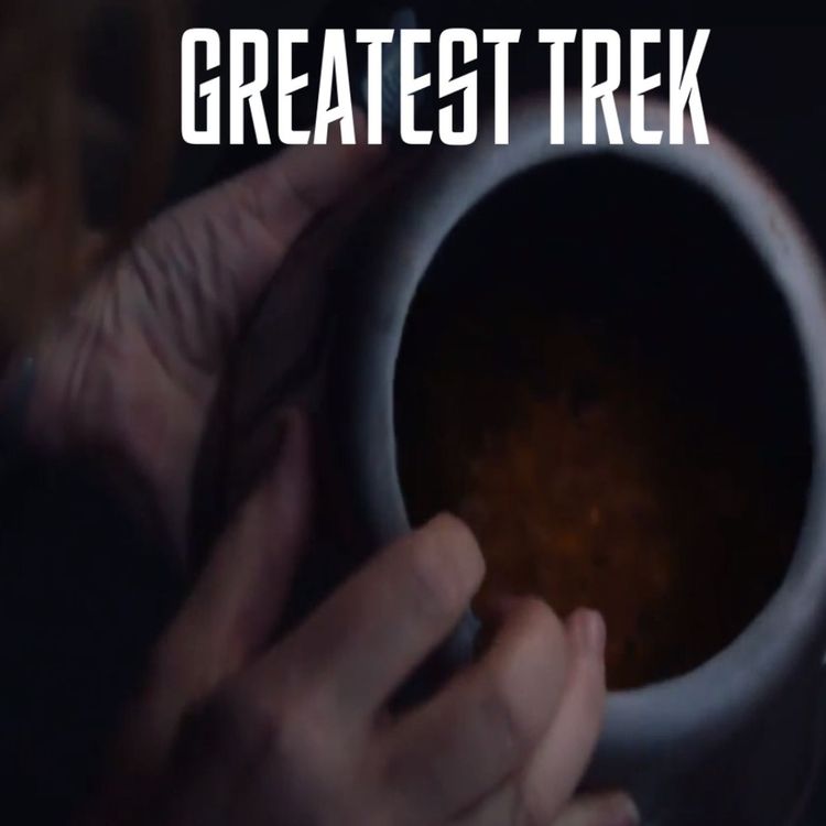 cover art for The Ultimate Stranger (Picard S3E4)