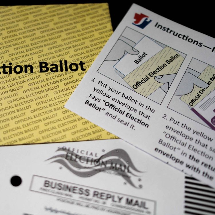 cover art for Will the US midterm elections be free and fair?