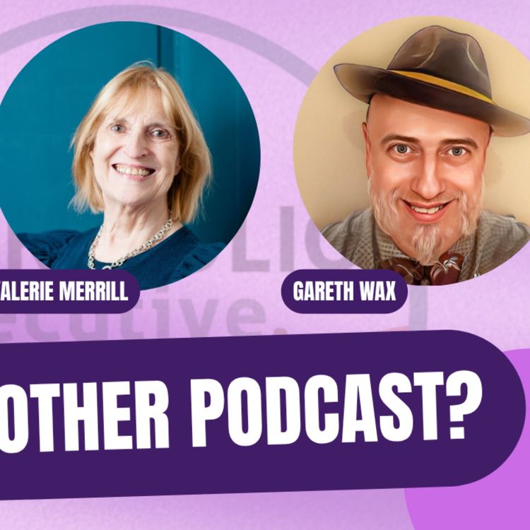 cover art for Introduction to the Portfolio Executive podcast