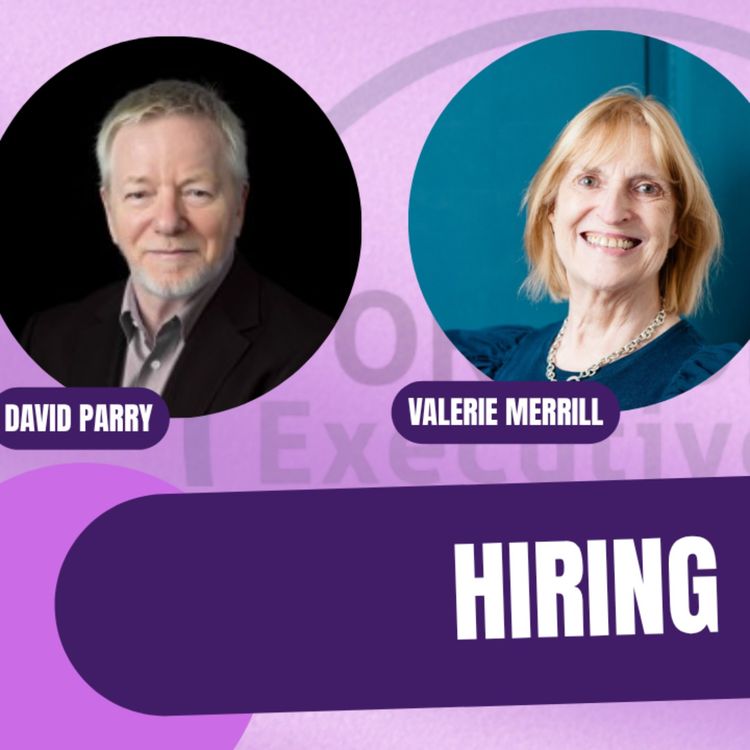 cover art for Portfolio Executive Podcast Episode 6: Hiring