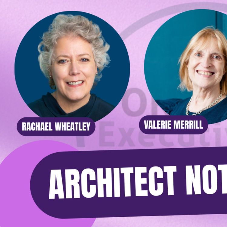 cover art for Portfolio Executive Podcast Series 2 Episode 7: Architect Not Plumber