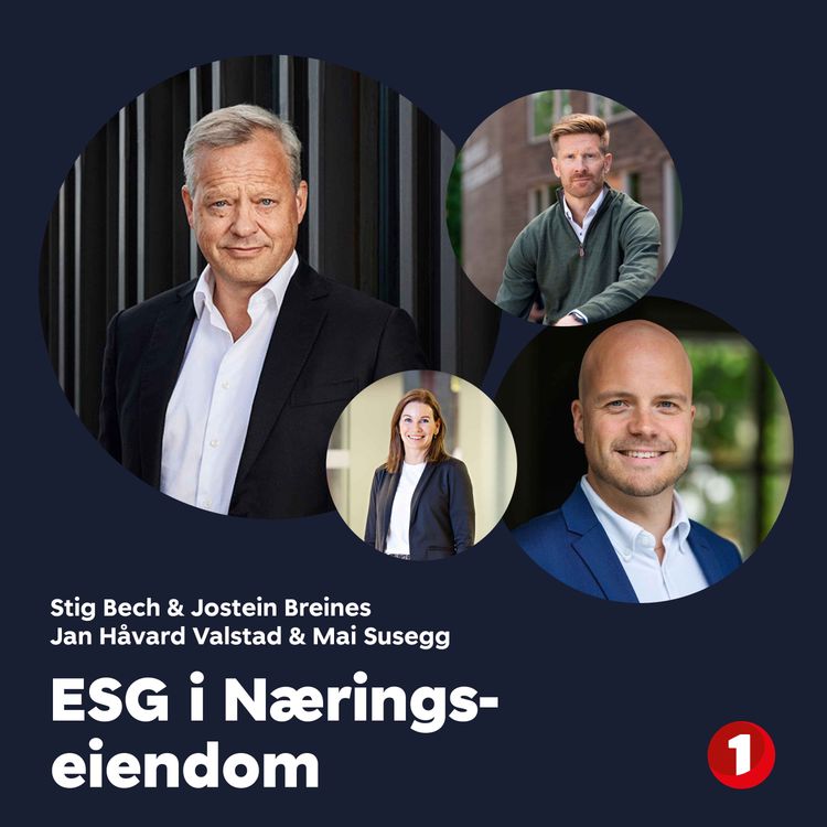cover art for Markedspuls 21. oktober 2024: Stig Bech og Jostein Breines