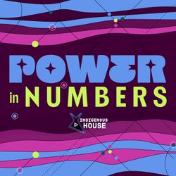 cover art for Power in Numbers