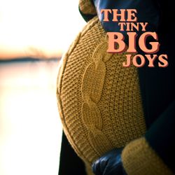 cover art for The Tiny Big Joys