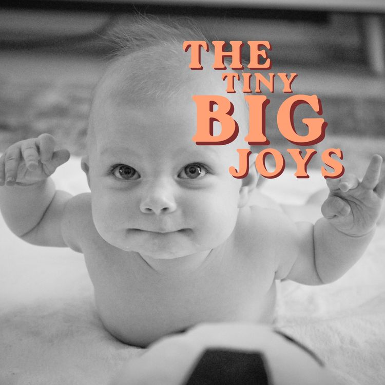 cover art for The Questions No-One Answered - The Tiny Big Joys Story