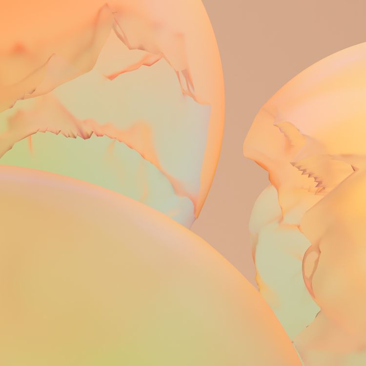 cover art for Perfectionisme