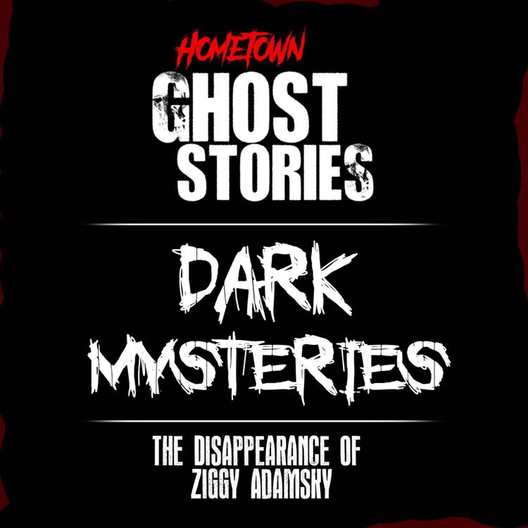 cover art for The Disappearance of Ziggy Adamsky | Dark Mysteries