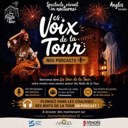 cover art for Les voix de la Tour