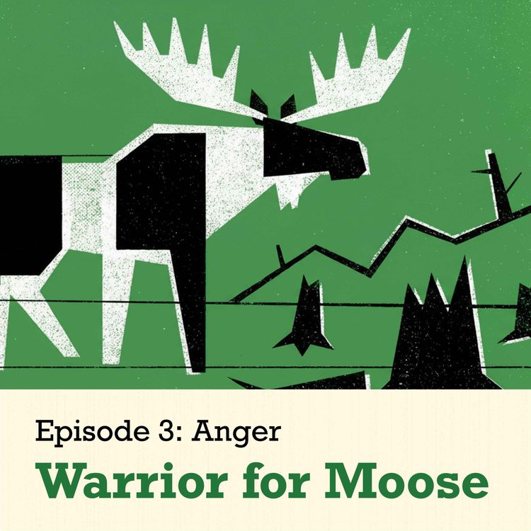 cover art for Warrior for Moose