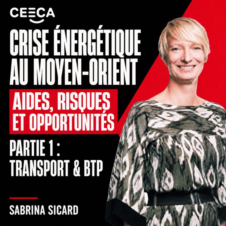 cover art for Crise énergétique au Moyen-Orient : Aides, risques et opportunités de conseil pour les cabinets d'expertise comptable