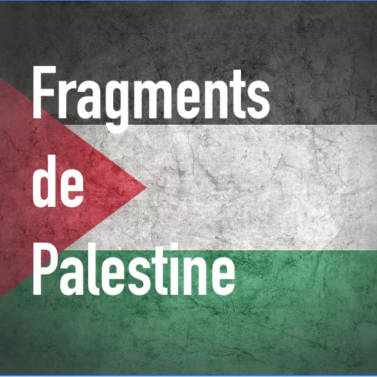 cover art for La question carcérale en Palestine avec Salah Hammouri