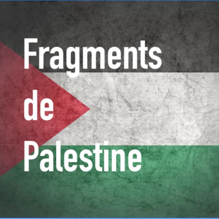 cover art for Les mouvements de solidarité avec la Palestine avec Thomas Sommer-Houdeville (partie 1/2)