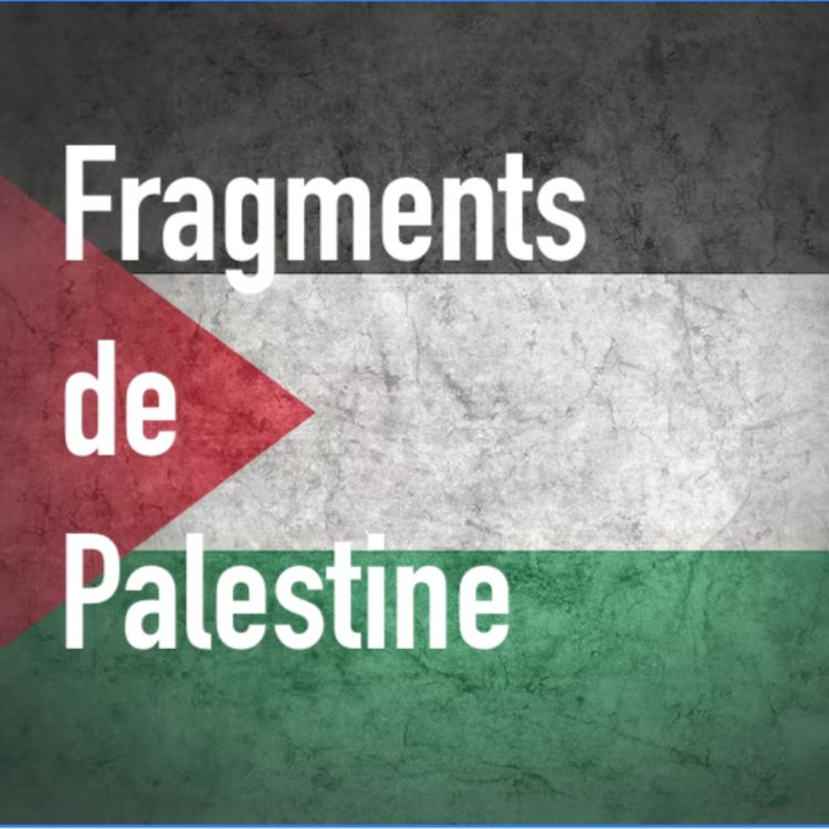 cover art for Le choix de la lutte armée, les influences entre Liban et Palestine avec Walid Charara