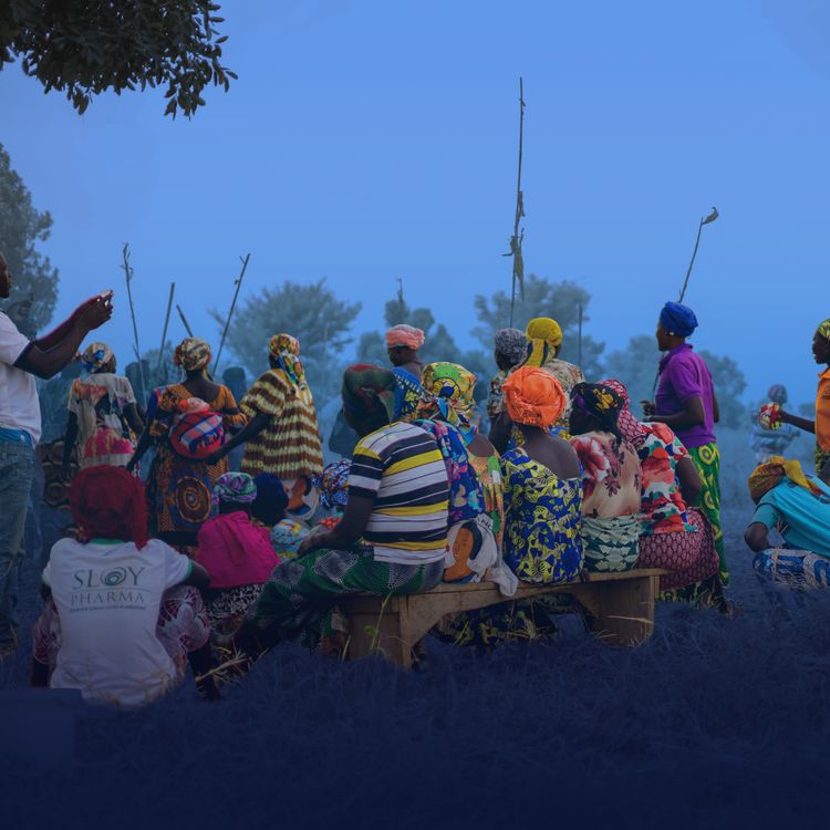 cover art for Women, Youth and Sustainable Livelihoods in Cameroon’s Lake Chad Basin