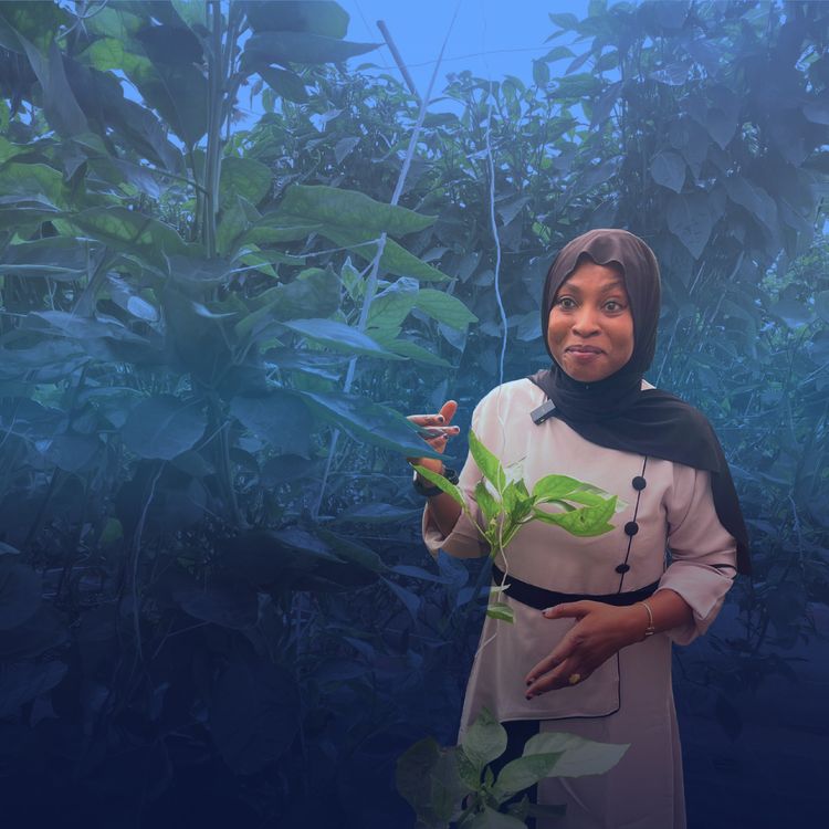 cover art for Building Capacity for Women-Led Agribusinesses and Climate Resilience Across Africa