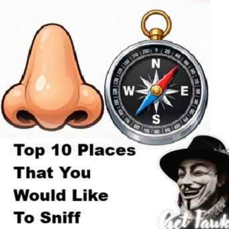 cover art for Places That You'd Like To Sniff