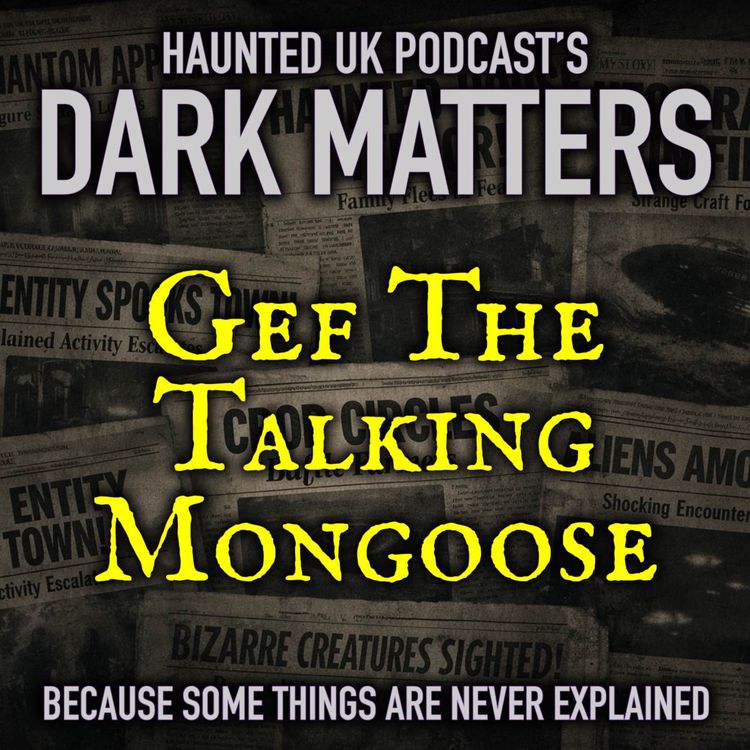 cover art for Dark Matters: Gef the Talking Mongoose
