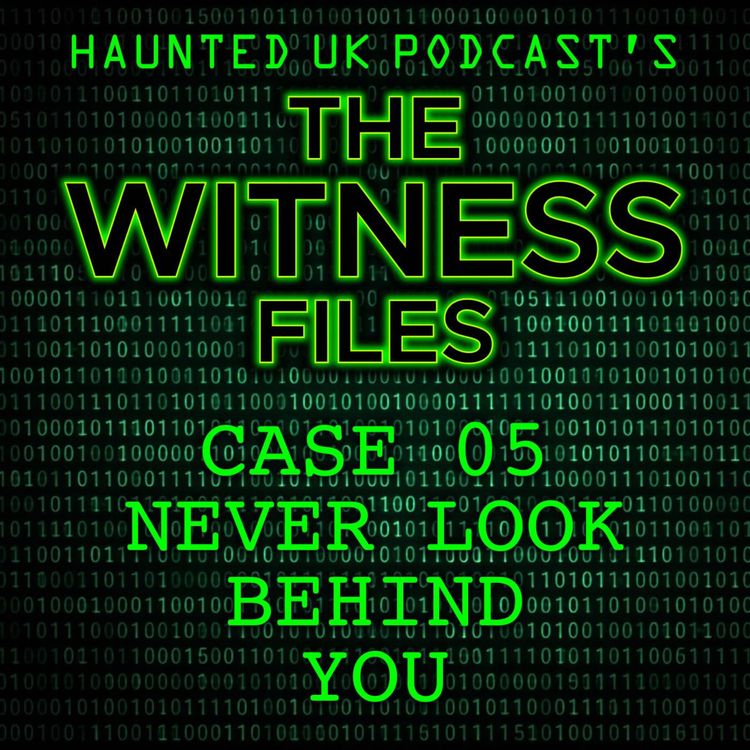 cover art for The Witness Files - Case 05 - Never Look Behind You