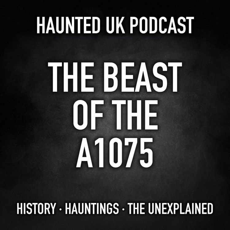 cover art for Episode 80 - The Beast of the A1075