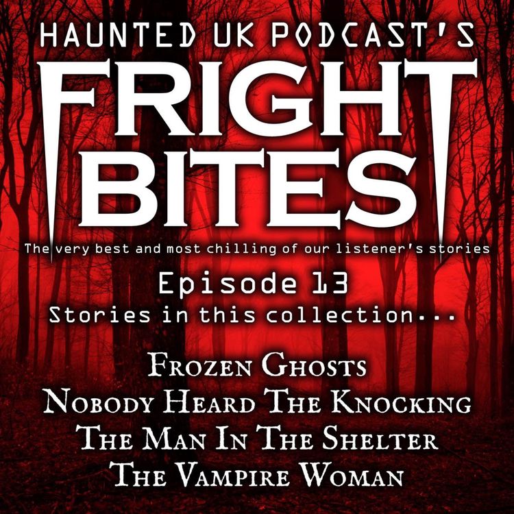 cover art for Fright Bites - EP13 - Frozen Ghosts & Other Encounters