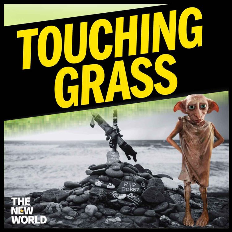 cover art for Dobby's grave and problematic internet boyfriends