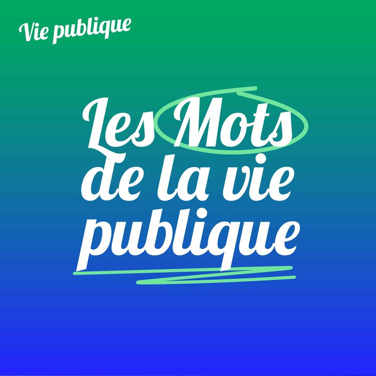 cover art for L'État de droit : entretien avec Olivier Jouanjan