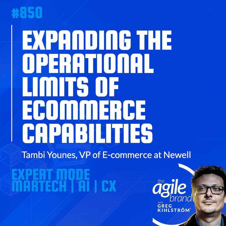 cover art for #850: Newell VP of E-commerce Tambi Younes on expanding the operational limits of ecommerce capabilities