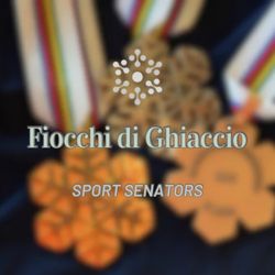 cover art for Fiocchi di Ghiaccio