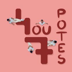 cover art for 4ou7potes