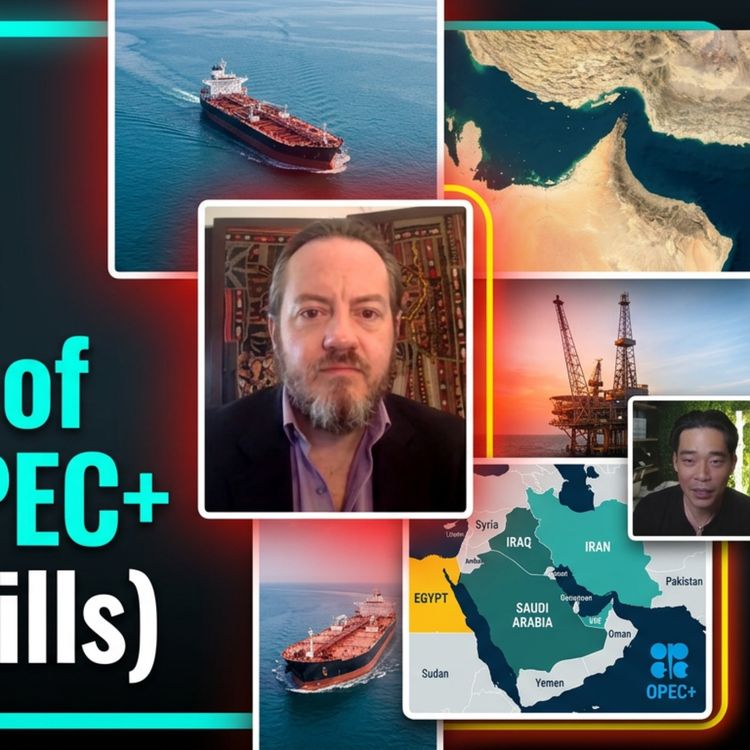 cover art for Oil & Gas Investing: Iran, the Strait of Hormuz, OPEC+, and the Shale Revolution (w/ Robin Mills)