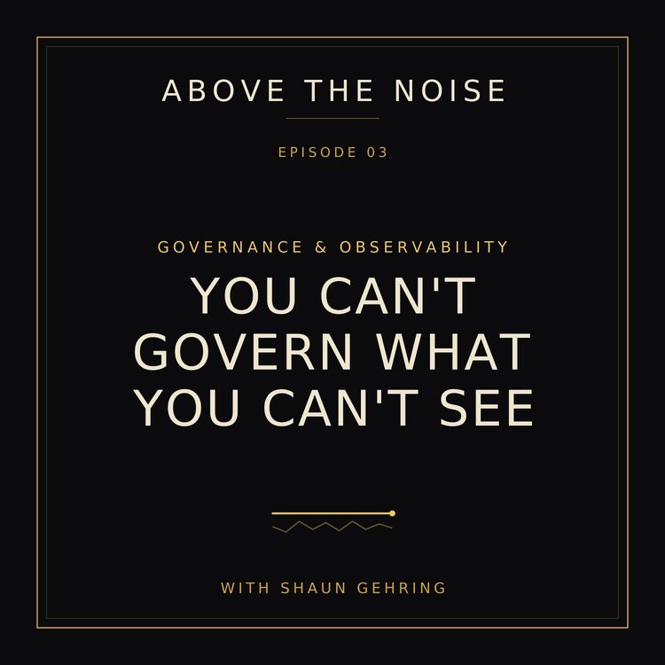 cover art for You Can't Govern What You Can't See