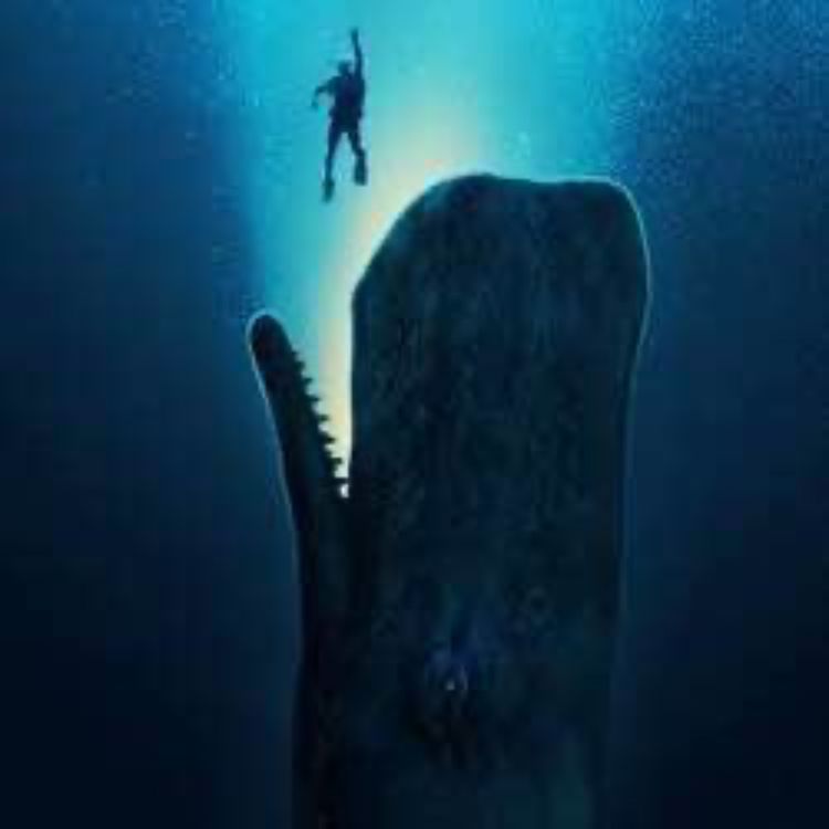 cover art for S5 Ep31: Whalefall and Sexy Beast