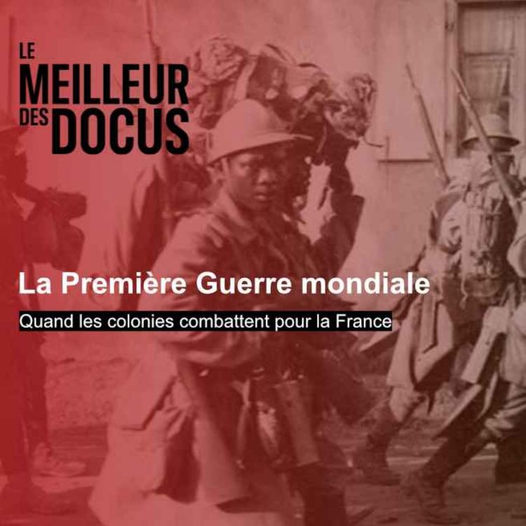 cover art for La Première Guerre mondiale : Quand les colonies combattent pour la France (2/2)