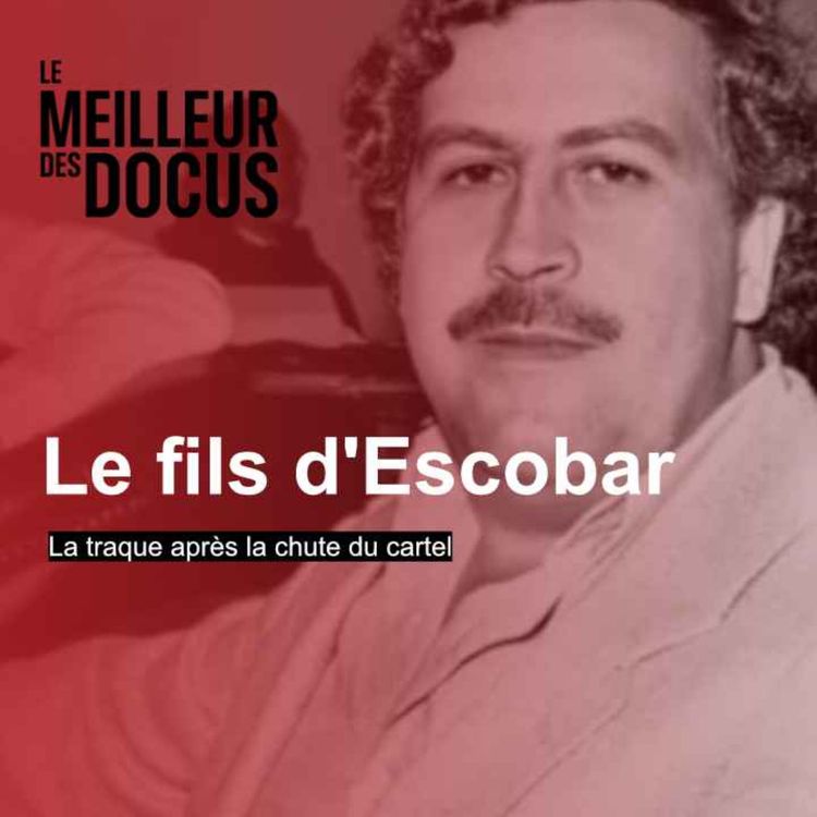 cover art for Le fils de Pablo Escobar : La traque après la chute du cartel (2/2)