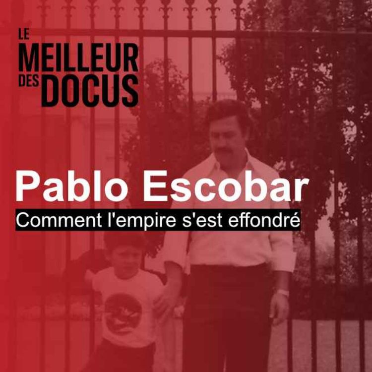 cover art for Pablo Escobar : Comment l'empire s'est effondré (2/2)