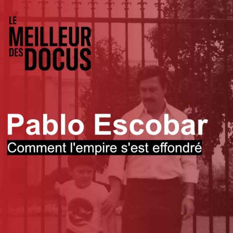 cover art for Pablo Escobar : Comment l'empire s'est effondré (1/2)