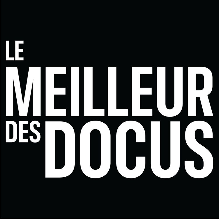 cover art for New York vu d'en haut : Les derniers gardiens des toits oubliés (2/2)