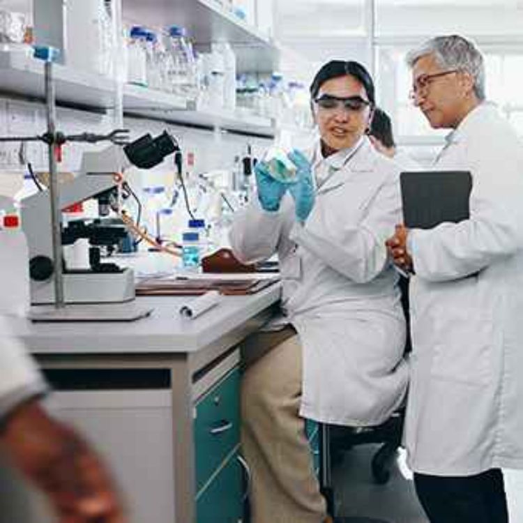 cover art for Reproducibility in R&D building trust and digital foundations