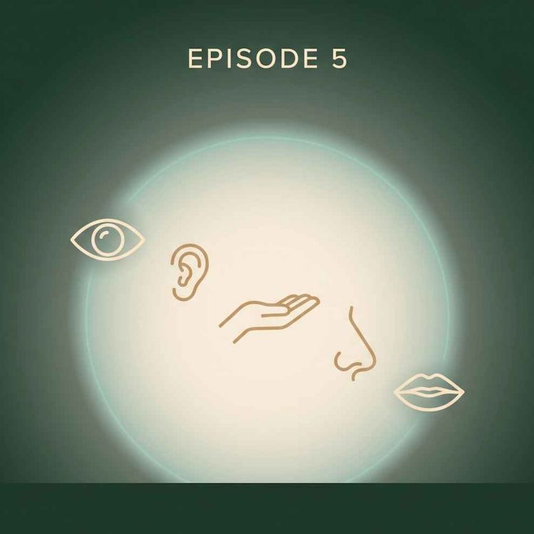 cover art for Come Back to Now: The 5-4-3-2-1 Grounding Method
