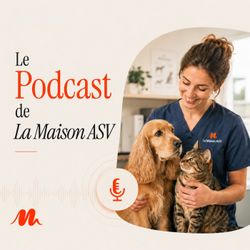 cover art for La Maison ASV