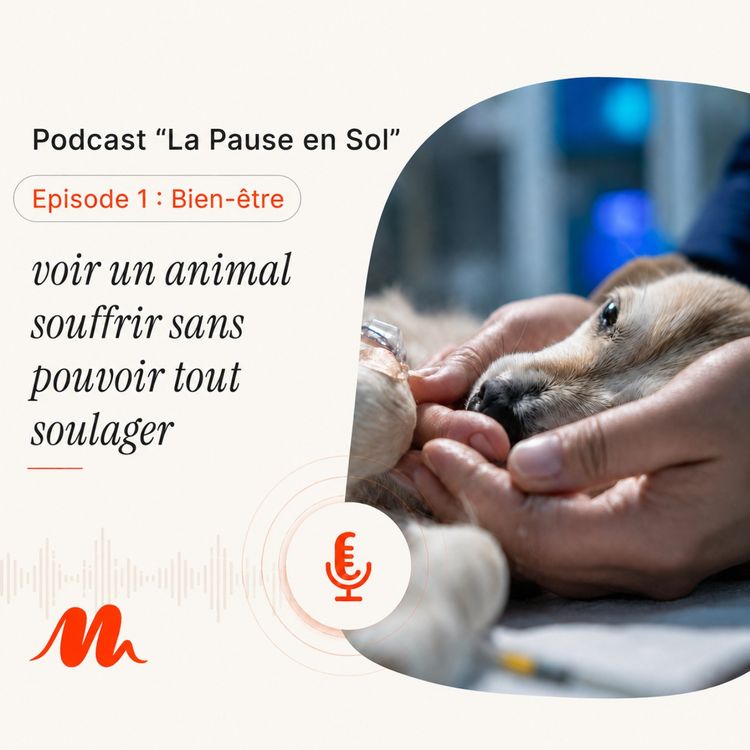 cover art for Episode 1 - Bien-être : voir un animal souffrir sans pouvoir tout soulager 