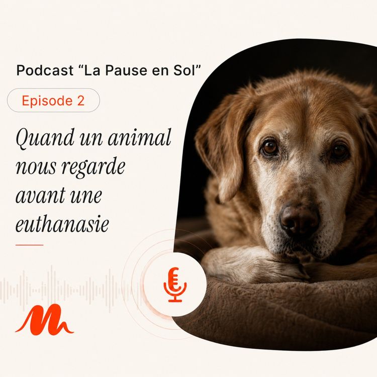 cover art for Episode 2 - Quand un animal nous regarde avant une euthanasie