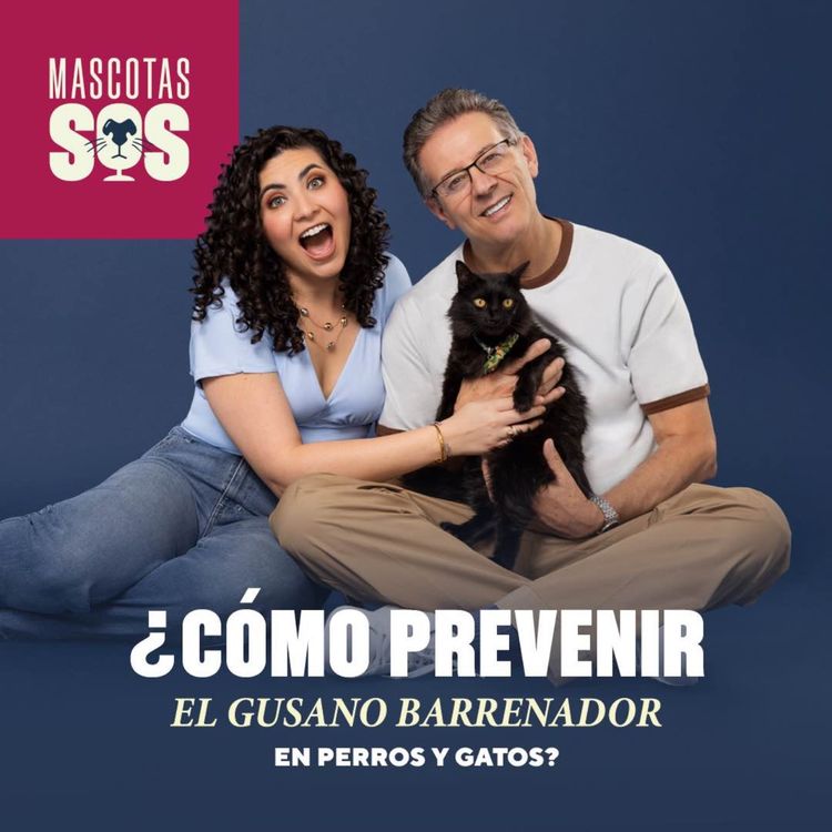 cover art for ¿Cómo prevenir el gusano barrenador en perros y gatos?