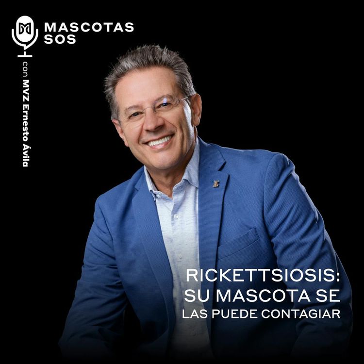 cover art for Rickettsiosis: su mascota se las puede contagiar