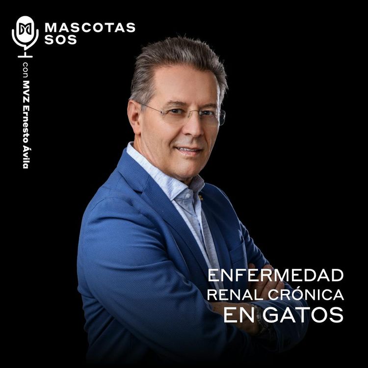 cover art for Enfermedad renal crónica en gatos
