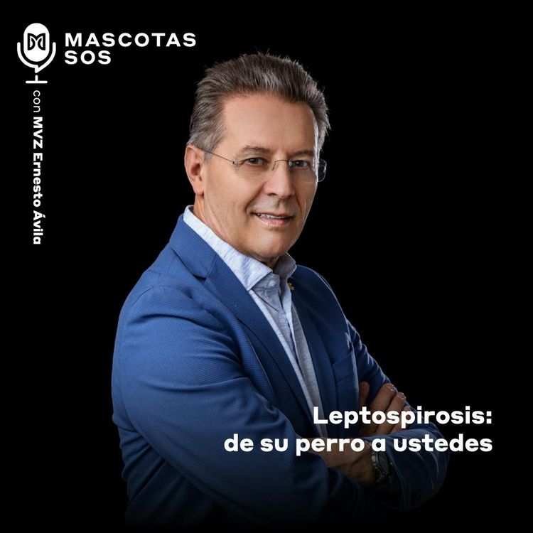 cover art for Leptospirosis: de su perro a ustedes
