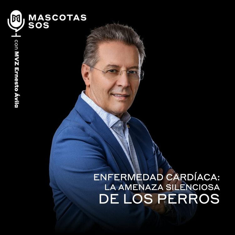 cover art for Enfermedad cardíaca: La amenaza silenciosa en perros